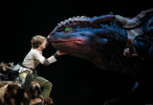 How to Train Your Dragon (Live Action) How to Train Your Dragon Live Action Movie